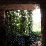 ...anche se l�effetto cromatico che il sole crea con la pianta rampicante che si trova all�ingresso quasi a mo� di tenda, � suggestivo